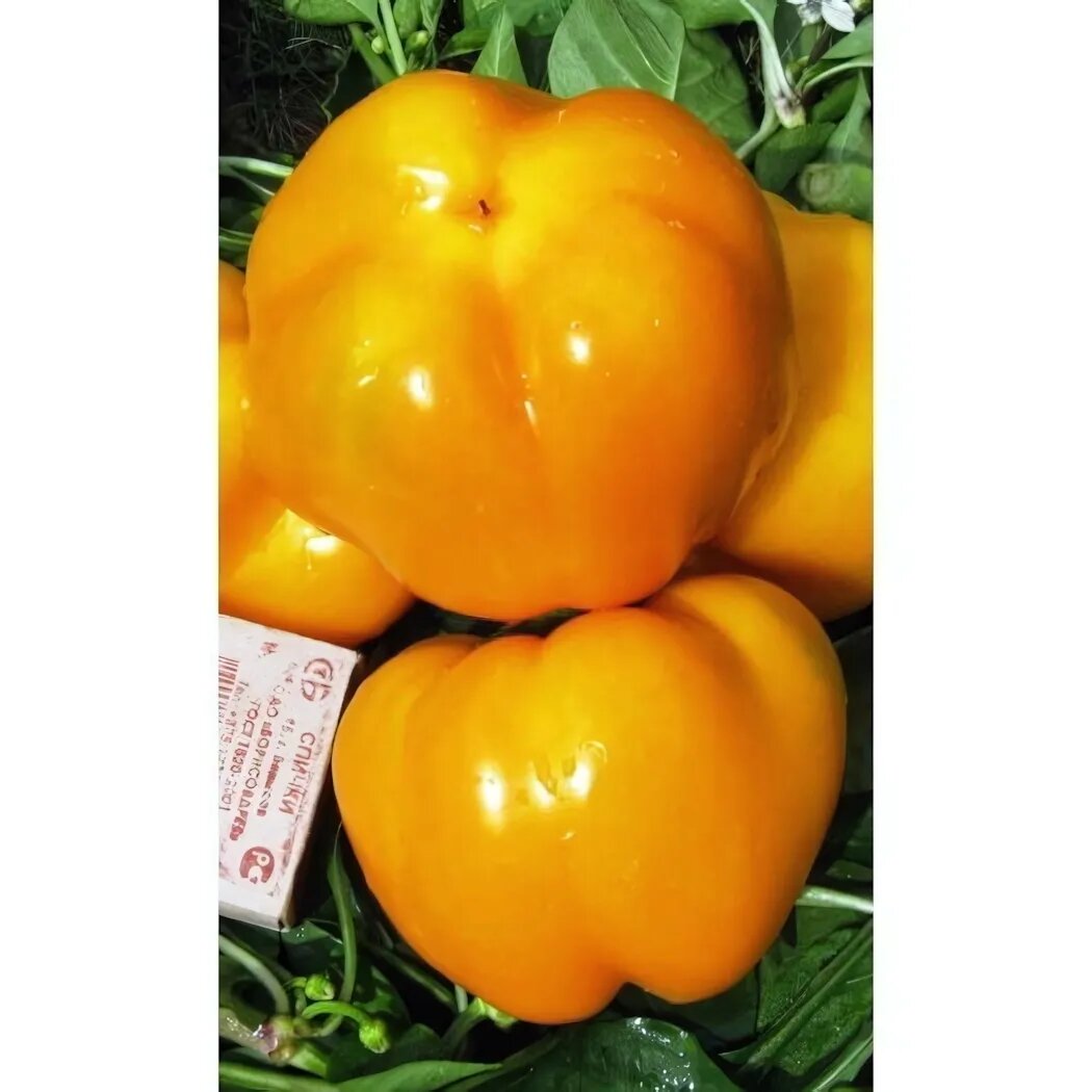 Семена перца сладкого 'Оранжевый Юбилейный' 95-100 дней крупные плоды высокое содержание ß-каротина