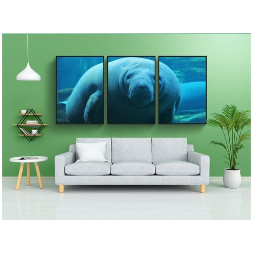 фото Набор модулных постеров для интерьера "ламантины, морской мир орландо, под водой" 60x90 см. в тубусе, без рамки lotsprints