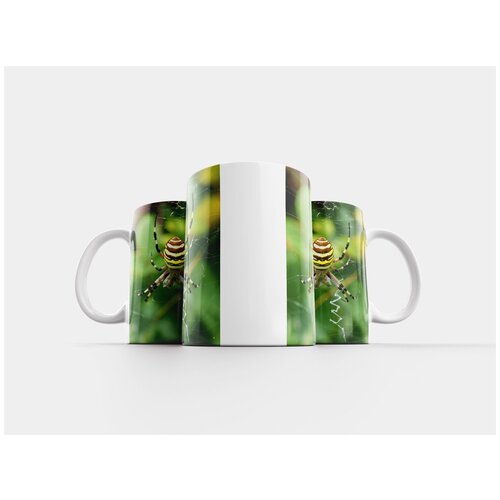 фото Кружка "тигровый паук, оса паук, аргиопа бруенничи" 320 мл lotsprints