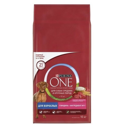 Purina Сухой корм Purinа One medium/maxi для взрослых собак, говядина/рис, 10 кг сухой корм для собак ашан красная птица говядина 10 кг