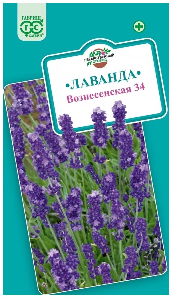 Лаванда Вознесенская 34 узколистная 0,05г (Гавриш)