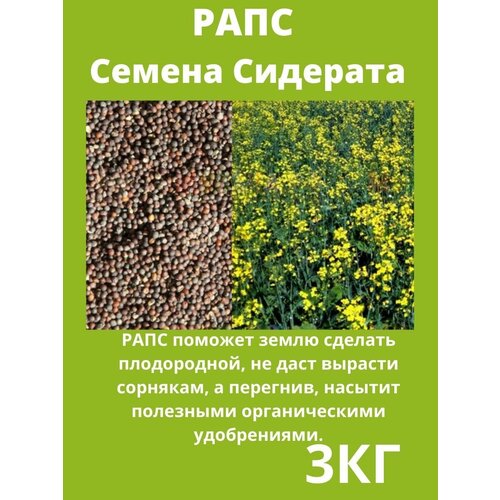 сидерат зеленый уголок рапс 1 кг Рапс семена сидераты трава газонные 3 кг