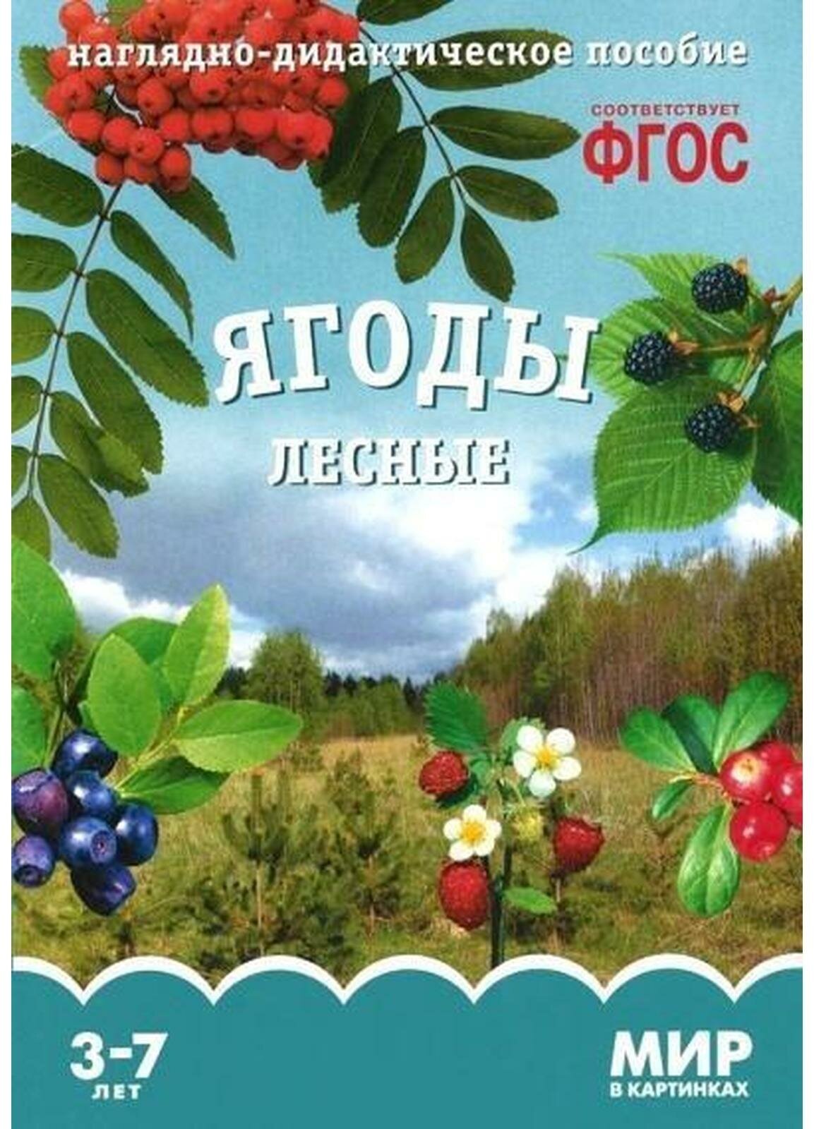 Ягоды лесные. Наглядно-дидактическое пособие. - фото №2