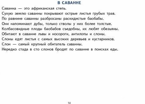 Фонетические рассказы с картинками. Свистящие звуки. 5-7 лет - фото №11