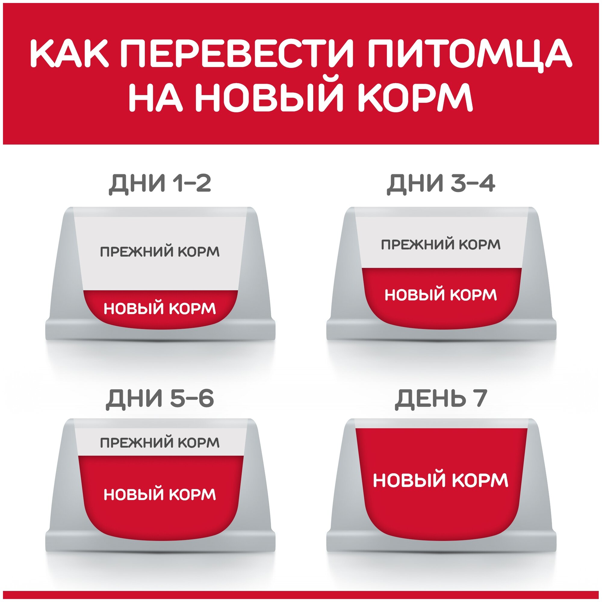 Корм сухой Hill's Science Plan Adult 1-6 для взрослых кошек с курицей, 300 г х 3 шт. - фотография № 4