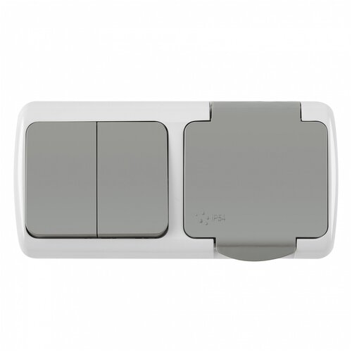 Блок розетка сз с крышкой 2 кл выключатель серый 429₽