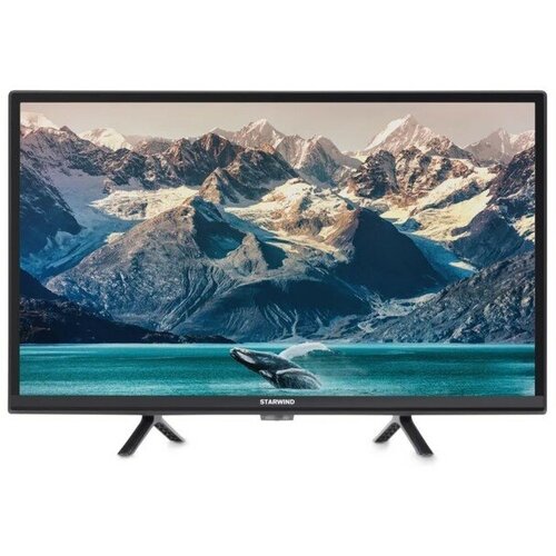 Телевизор Starwind SW-LED24BG202 24 1366x768 DVB-TT2CS2 HDMI 2 USB 1486700₽