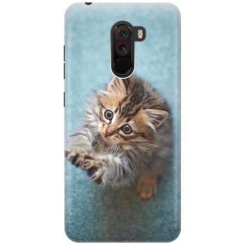 фото Re:pa накладка transparent для xiaomi pocophone f1 с принтом "котёнок на голубом"