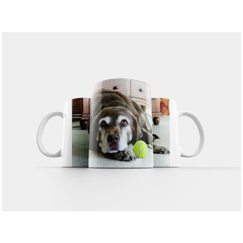 фото Кружка "лентяй, собака, собака лабрадор" 320 мл lotsprints