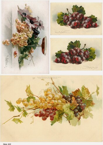 Изображение товара Декупажная карта А4 рисовая бумага тонкая виноград