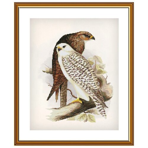 Купить СР2273 Набор для вышивания 'Гордые птицы'28 x36 см, NOVA SLOBODA
