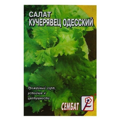 Семена Салат 'Кучерявец одесский', 1 г (5 шт) семена салат полукочанный кучерявец одесский 0 5 г хрустящий