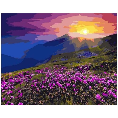 Картина по номерам Рассвет солнца, 40x50 см картина по номерам зонтик от солнца 40x50 см