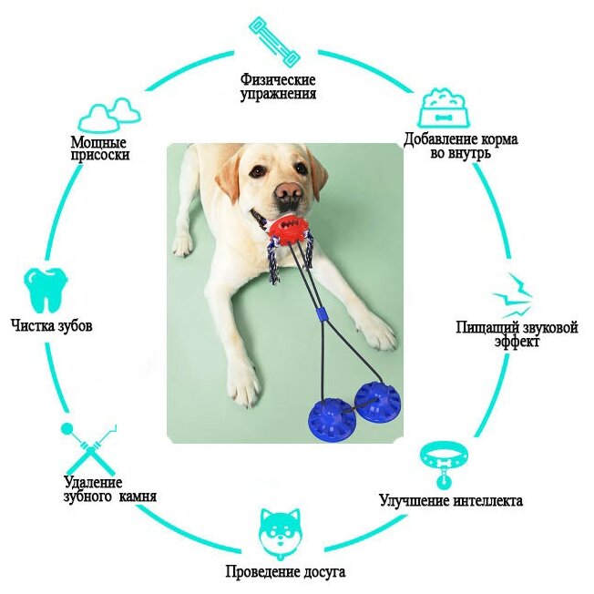 Жевательная игрушка для собак, мяч для зубов на верёвке с присосками - фотография № 2