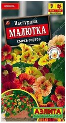 АЭ Настурция Малютка, смесь сортов 1г