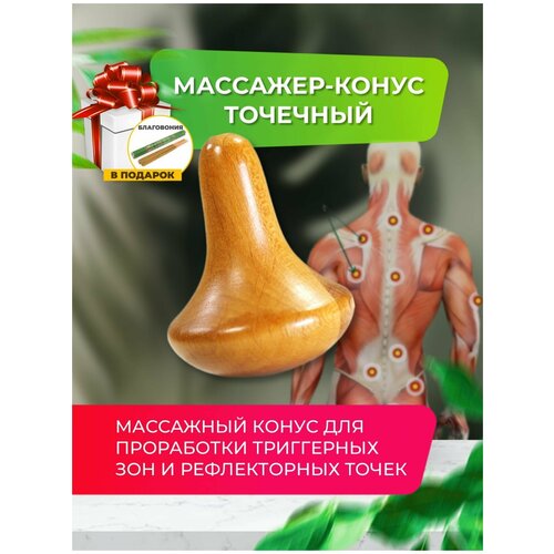 Madesto Lab/Массажный конус/Детский массаж/Массажер деревянный/Модеротерапия/Как делать массаж/Массажер купить/massage