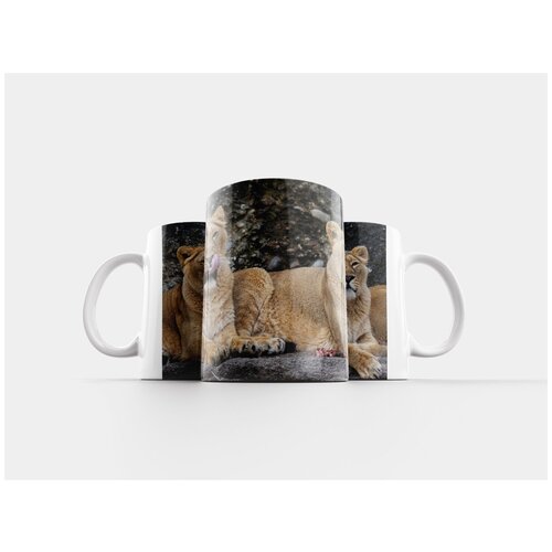 фото Кружка "лев, женский, большой кот" 320 мл lotsprints