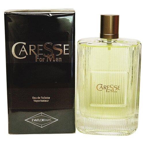 Parfums Evaflor Мужской Caresse Туалетная вода (edt) 100мл