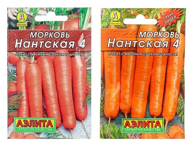 Семена Морковь 