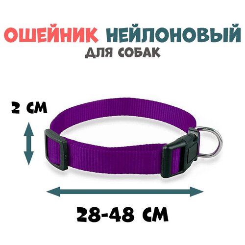 Ошейник нейлоновый для собак, L, обхват шеи 28-48 см, фиолетовый