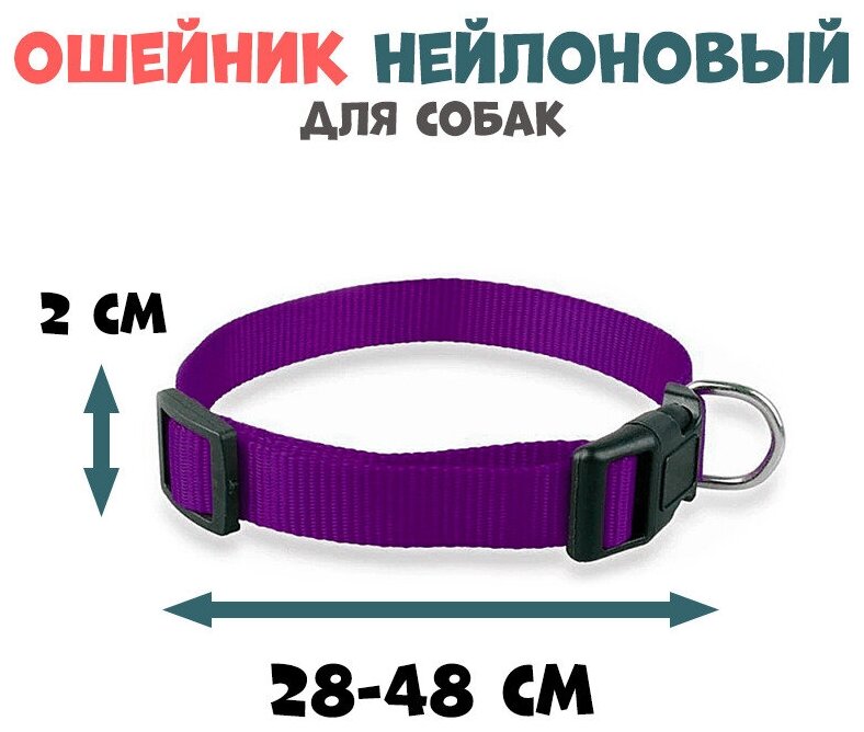 Ошейник нейлоновый для собак, L, обхват шеи 28-48 см, фиолетовый - фотография № 1