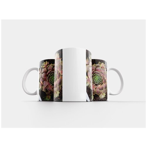 фото Кружка "houseleek, суккуленты, красноватый" 320 мл lotsprints