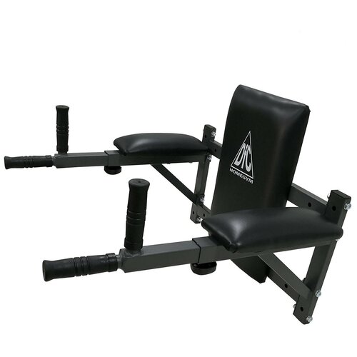 Брусья настенные DFC Homegym G294