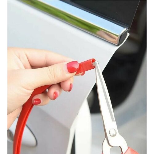 Защита кромки дверей автомобиля с металлической вставкой (красный 7 метров)