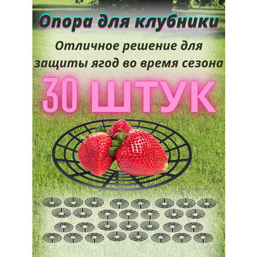 Опора для клубники черная 30 шт