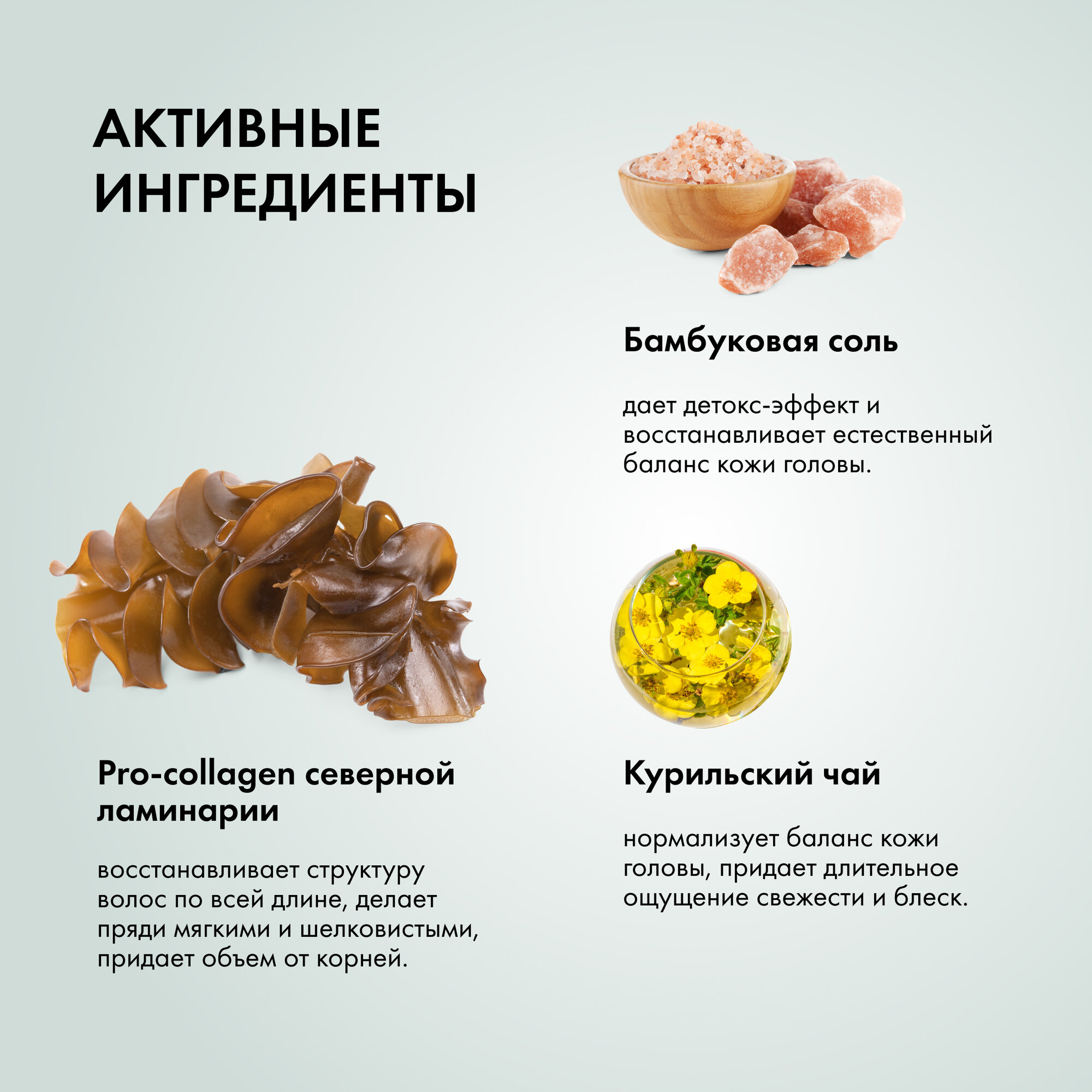 Сертифицированный шампунь для жирных волос Daily Detox Natura Siberica, 400 мл