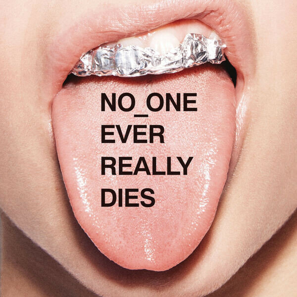 AudioCD N*E*R*D. No_One Ever Really Dies (CD)