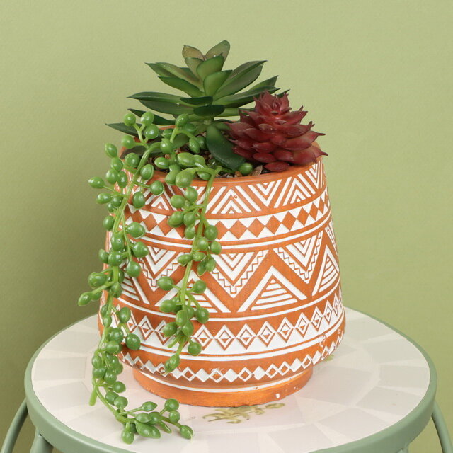 фото Koopman Искусственное растение горшке Альенто - Эхеверия 15*10 см HZ1954260