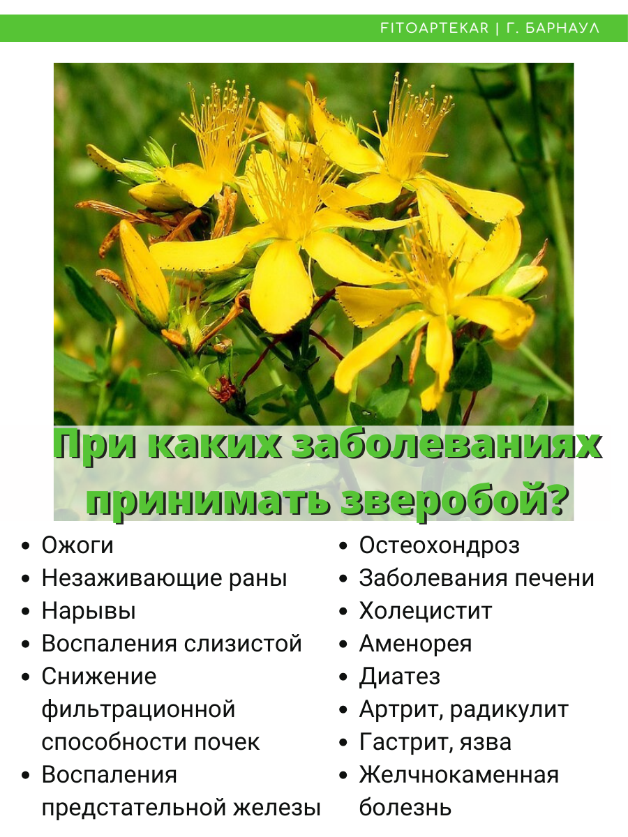 Спазмолитики Масло Зверобоя "Фито-Аптекарь" для внутреннего и наружного применения, 100мл