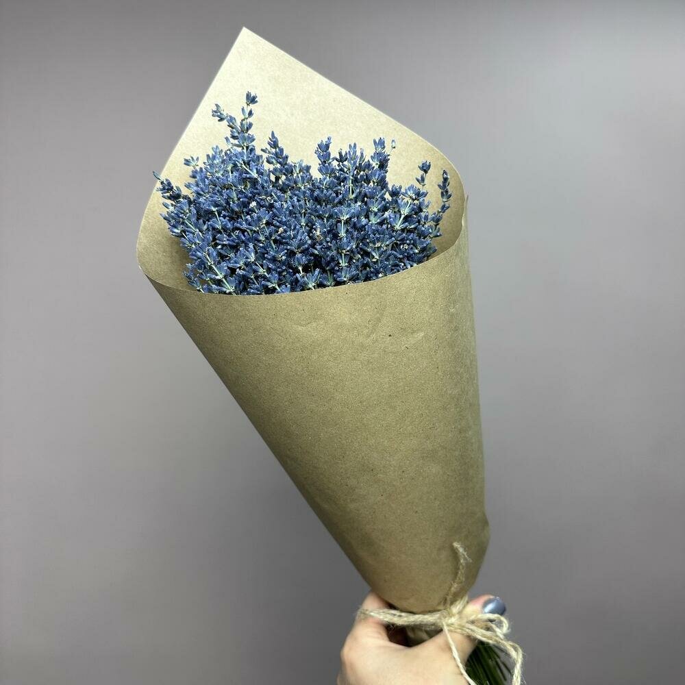 Монобукет Protea 