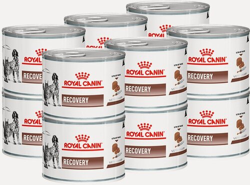 Изображение товара Влажный корм для собак Royal Canin Recovery в период восстановления после операции 1 уп. х 12 шт. х 195 г