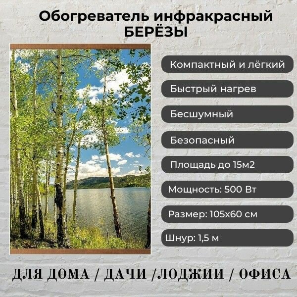 Обогреватель настенный инфракрасный Берёзы