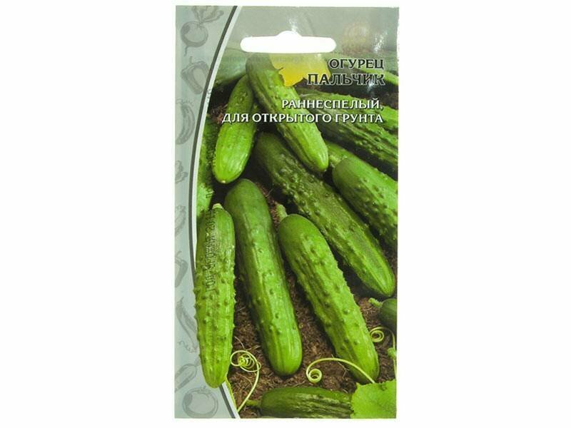 Огурец Пальчик раннеспелый цилиндрический 025г свежий для открытых грядок