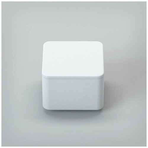 Бокс с крышкой Cezares Titan TITAN-SQUARE-SCAT