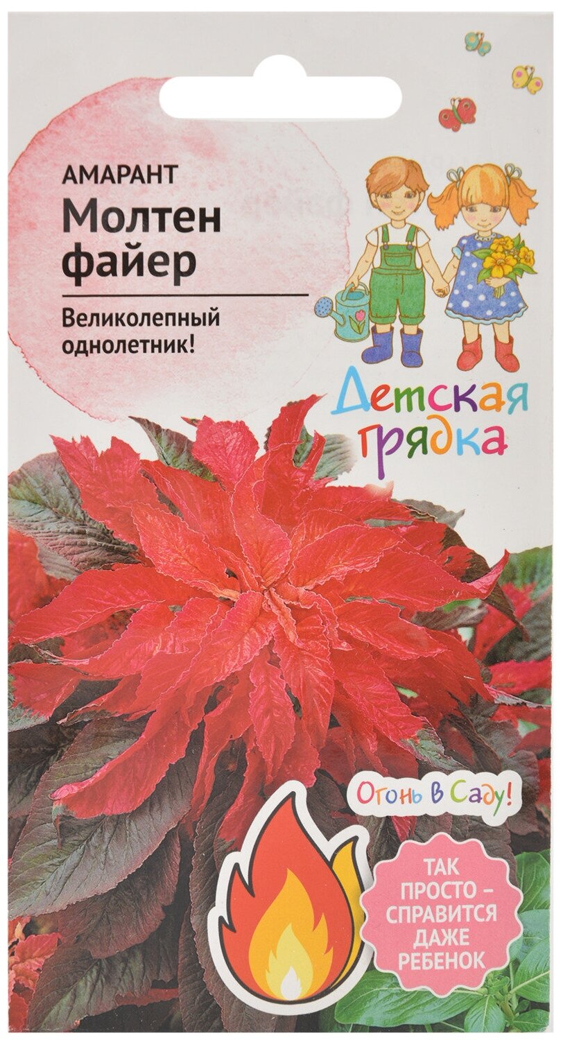 Амарант Молтен файер 0,25 г Детская грядка / семена однолетних цветов для сада / однолетние цветы для балкона в грунт /