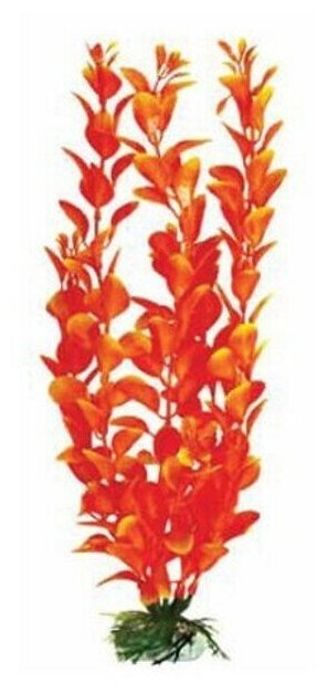 Растение Гигрофила красно-желтая пластик 25см
