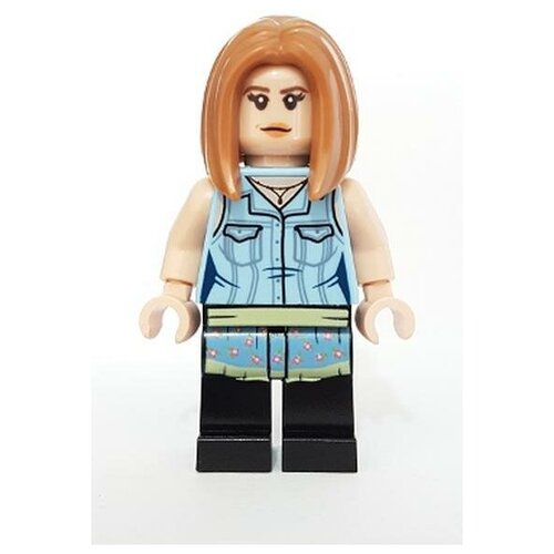 Минифигурка Лего Lego idea059 Rachel Green минифигурка лего lego sw0791 jyn erso