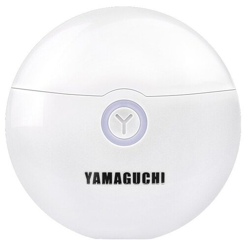 Прибор для подтяжки кожи лица и декольте Yamaguchi EMS Face Lifting 790000₽