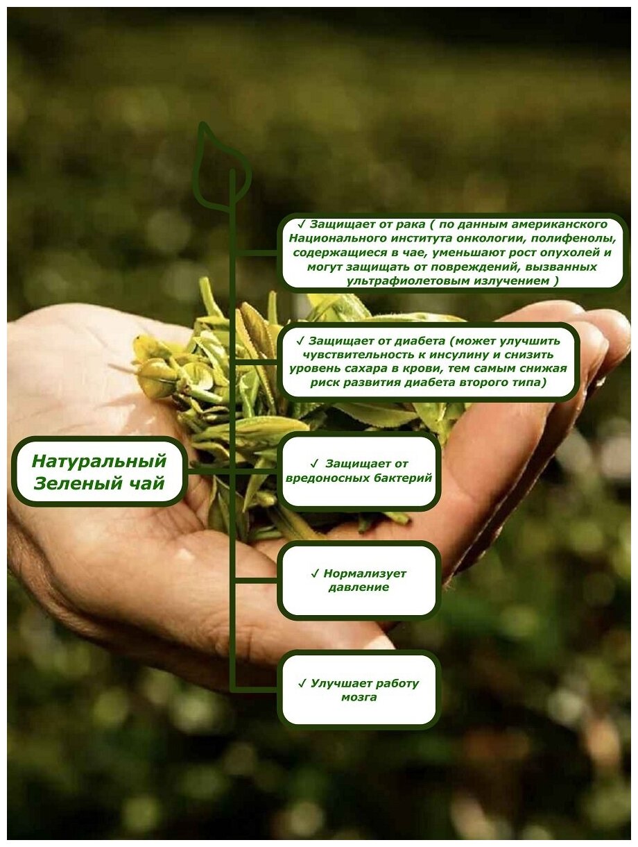 Чай зеленый листовой, Ручной сбор, Натуральный зеленый чай - фотография № 3