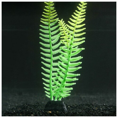 --- Растение силиконовое аквариумное, светящееся в темноте, 8 х 23 см, зелёное