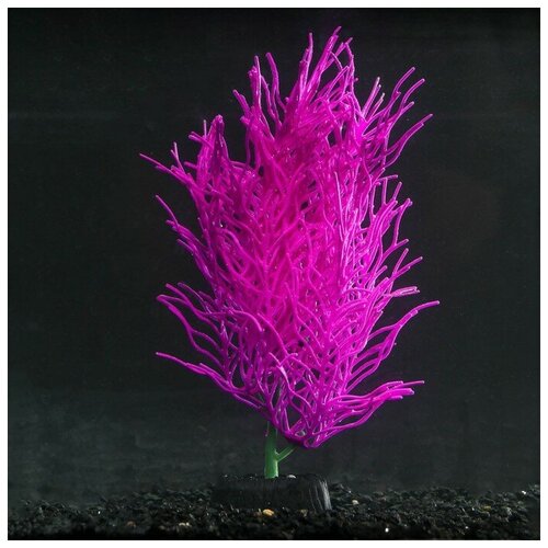 Растение силиконовое аквариумное, светящееся в темноте, 9 х 20 см, фиолетовое./В упаковке шт: 1