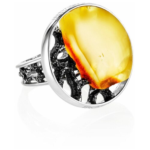 фото Amberholl эффектное кольцо «модерн» из серебра и натурального балтийского янтаря