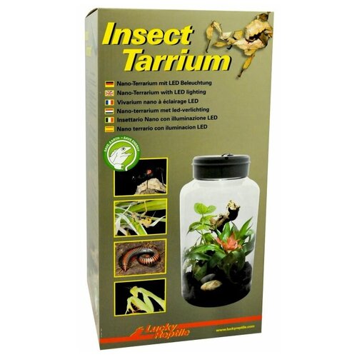 Террариум LUCKY REPTILE Insect Tarrium 5л, 15х15х25см (Германия)