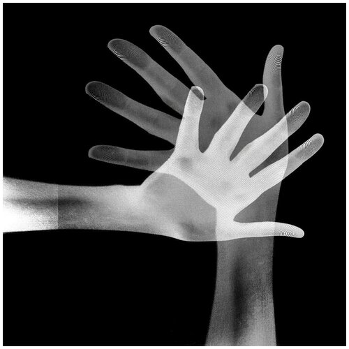 In My Room Trentemoller / Memoria (2LP)