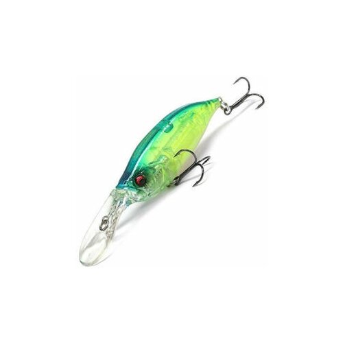 Megabass ixi Shad Type-R Skeleton Blue Back Chart my skeleton chart laminated 520x760mm