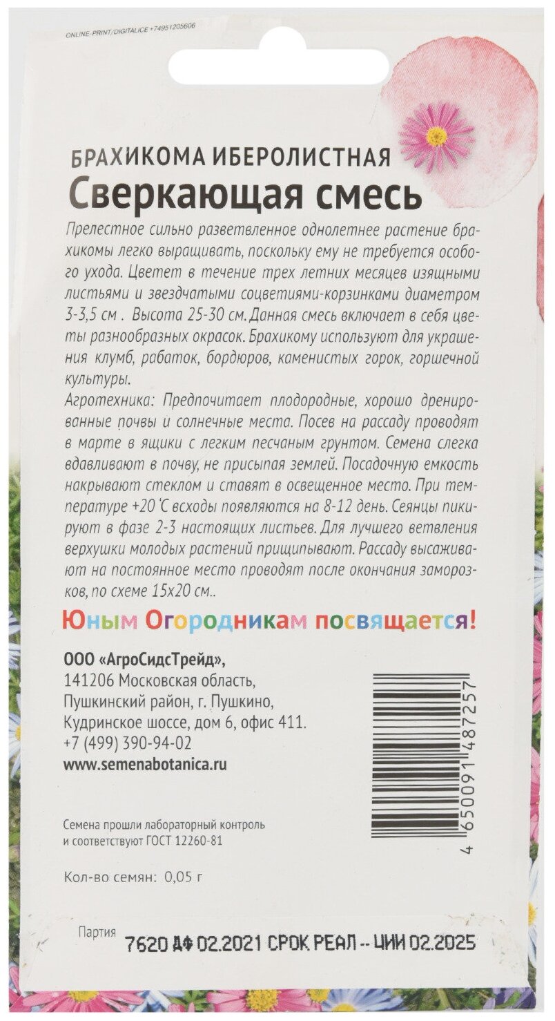 Семена Брахикома Дг Иберисо Лист смесь 0,05 г Детская грядка - фото №4